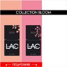  collection BLOOM 2 shades
