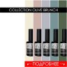 NEW COLLECTION OLIVE BRUNCH